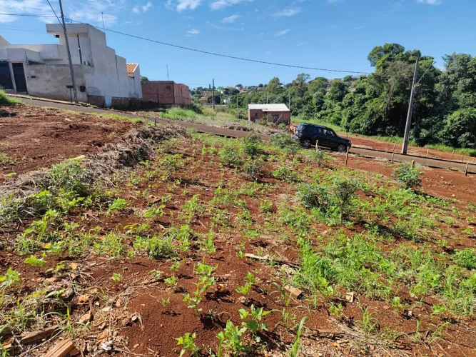 Terreno à Venda - , Califórnia