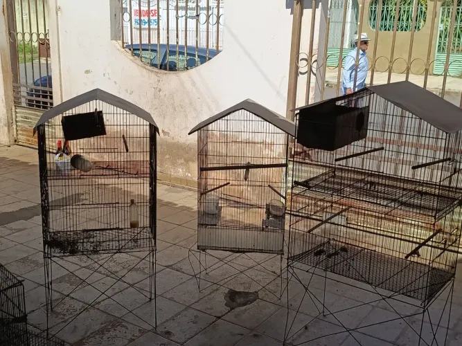 Gaiolas e viveiros