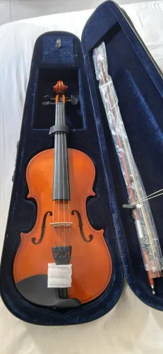 Violino 