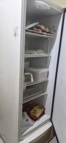 Freezer Vertical Fricon