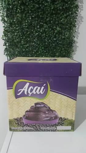CAIXA AÇAÍ 10 LITROS 