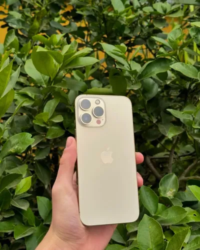 IPHONE 13..PRO..MAX 128GB / DOURADO PERFEITO!