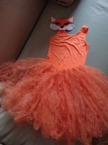 Fantasia infantil Raposa