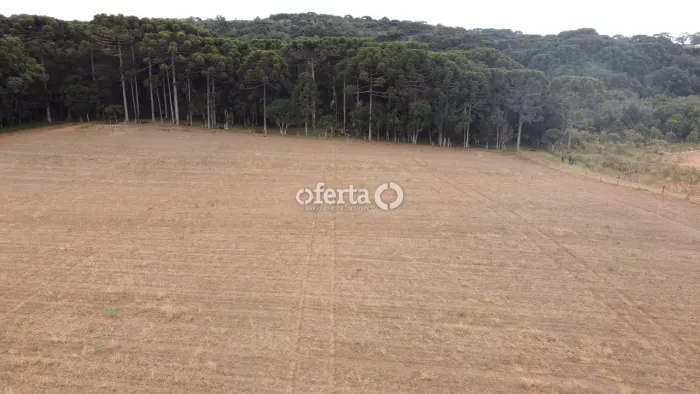 Terreno em Contenda - Permissível para industria