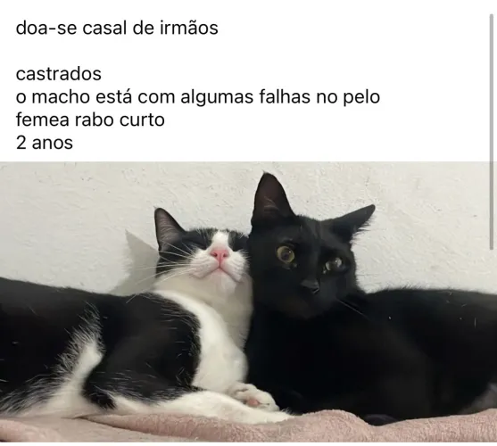 doação 