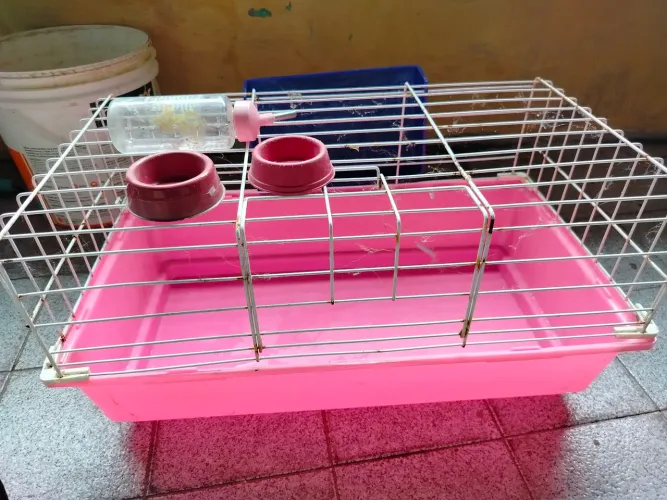 Casa para coelho