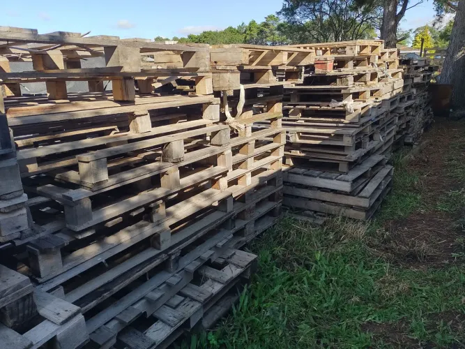 Lote paletes de madeira