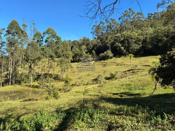Terreno Rural para Venda em Angelina, LINHA DO CHAVES