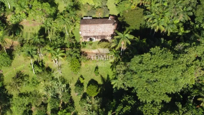 Lote/Terreno à Venda, Alto Baú - Ilhota