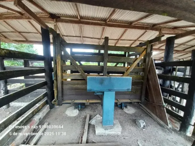 curral todo no acapu ,pra mais de 100 gado com balança R$ 80 mil reais esta depois do Taua