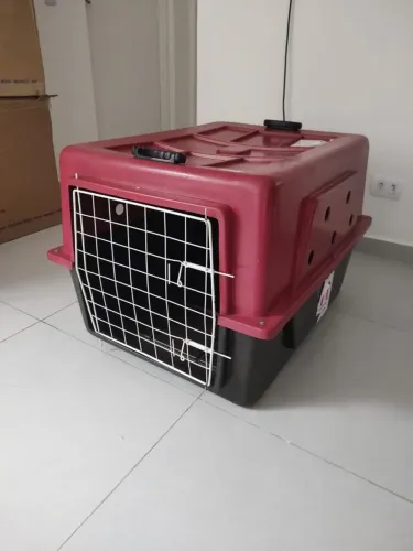 Caixa de transporte 