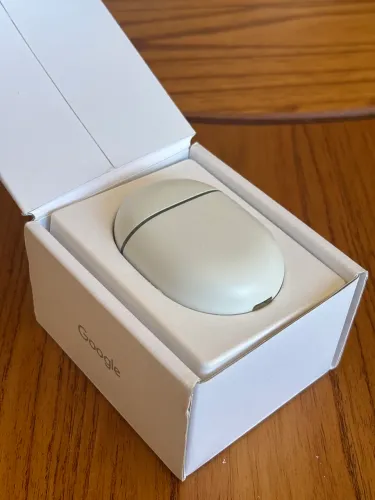 Google Ear Buds Defeito