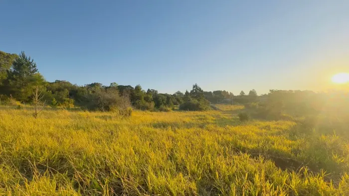 Terrenos em aguas claras escriturados com pequena entrada e parcelamento de R$ 650 por mês
