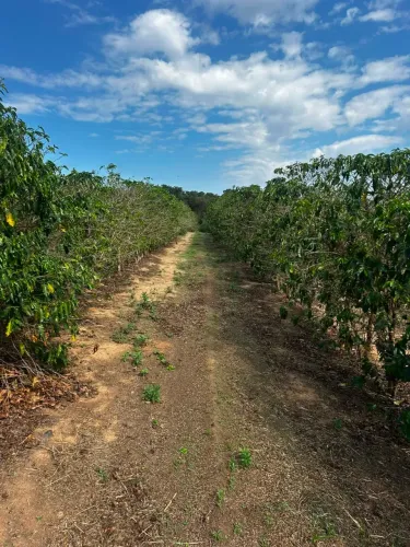 sitio em monte santo de minas um alqueire e uma quarta 750.000.00