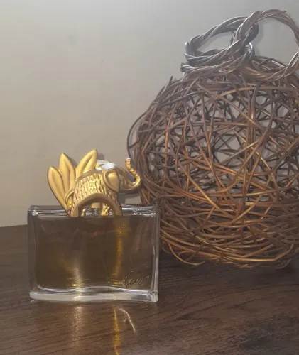 Perfume Kenzo Jungle 100mls
