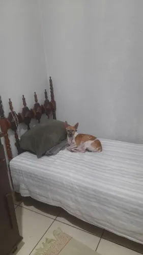 Cama de solteiro em madeira