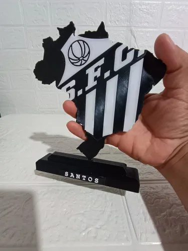 Placa 3d do Santos