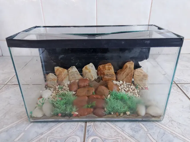 Aquário 