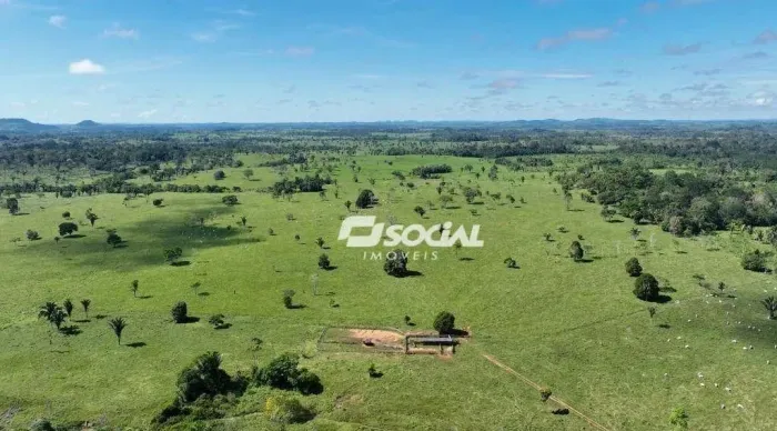 FAZENDA A VENDA EM RONDONIA - 101,0744 HA DE PASTO - TERRA DE MAIS ALTA QUALIDADE - ESCRIT