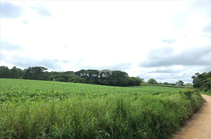 Terreno Comercial/Residencial para venda em Colônia Murici - São José dos Pinhais - PR