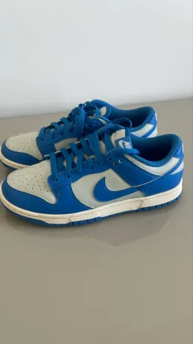Tênis Nike Dunk Low Retro Masculino