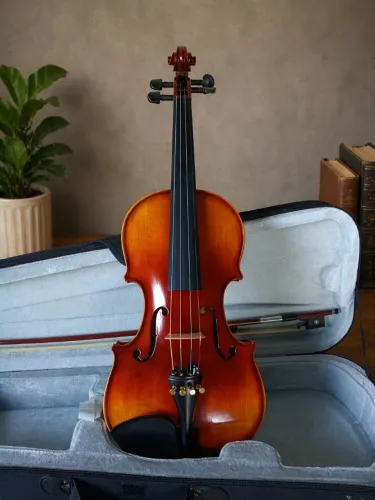Violino