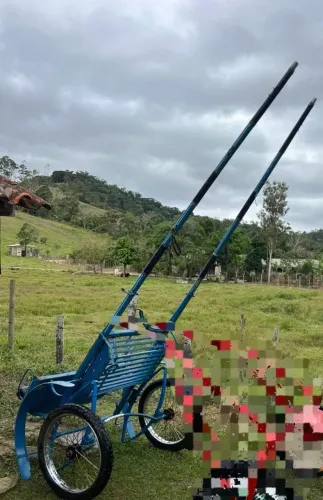 Charrete arainha