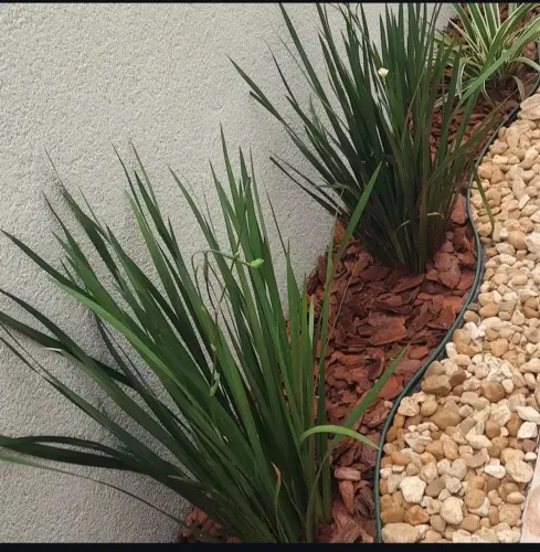 Jardinagem