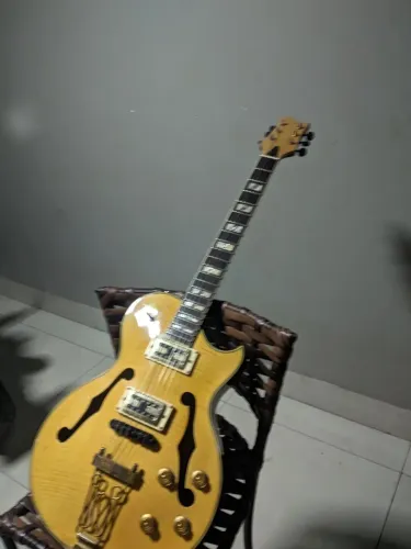 Guitarra Semi acústica Golden Gsh-570