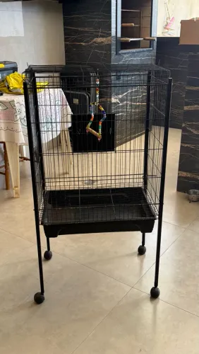 Gaiola para calopsitas