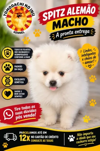 Machinho disponível