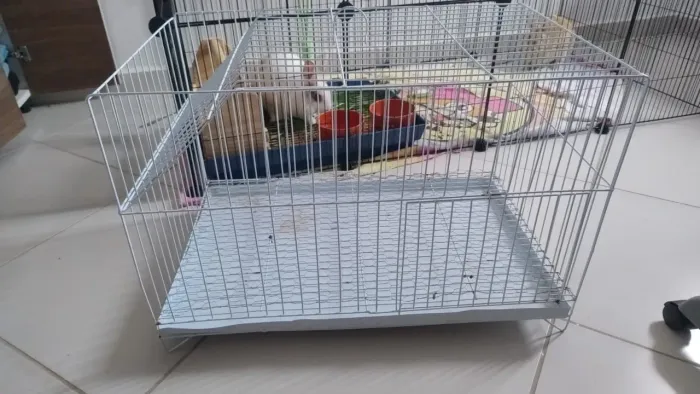 Mini coelhos +ítens 