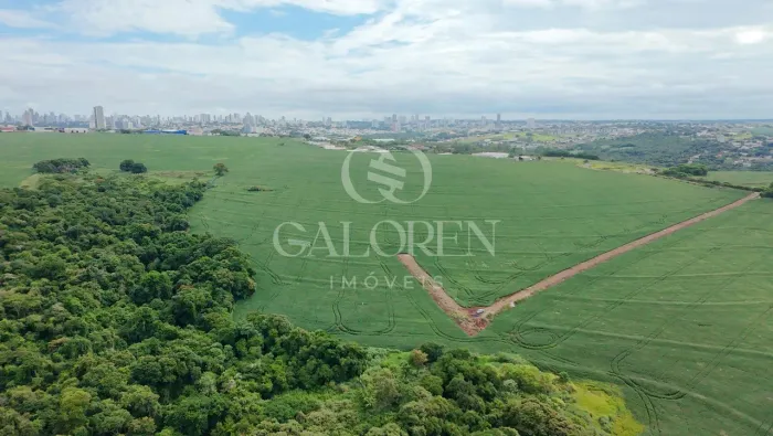 Área de 20.000m² para Loteamento em Maringá Gleba Ribeirão Pinguim