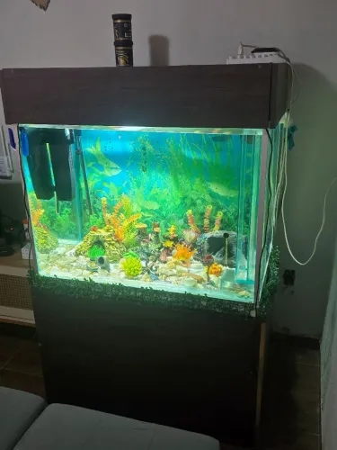 AQUÁRIO 400 LITROS COMPLETO