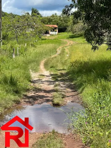 FAZENDA RURAL em Vargem Grande - Maranhão, Centro