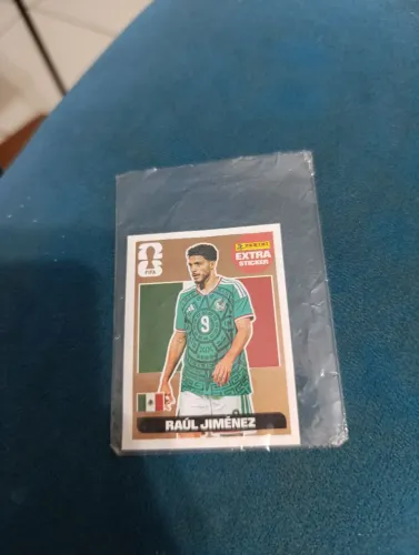 Raul Jimenez bronze