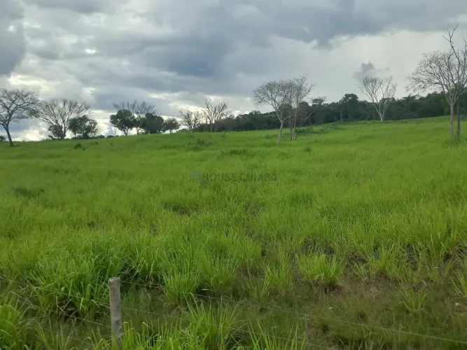 Vendo!!! fazenda de 621 hectares na região do distrito da Aguaçú no MT
