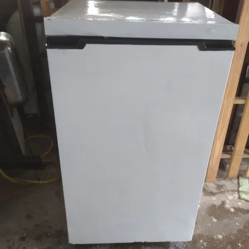 Freezer vertical