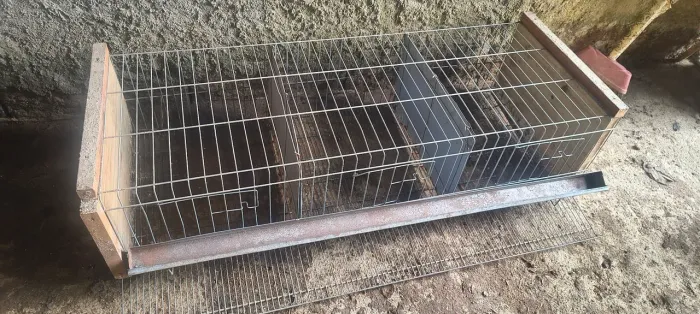 Gaiola para codorna