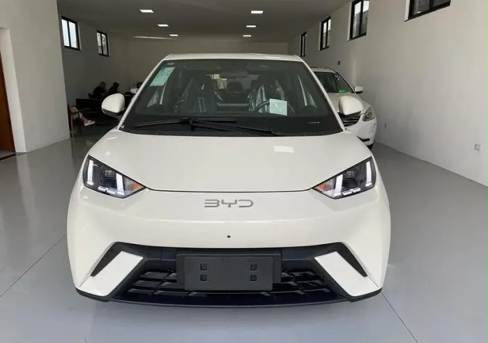 BYD Dolphin Mini (Elétrico) 2027