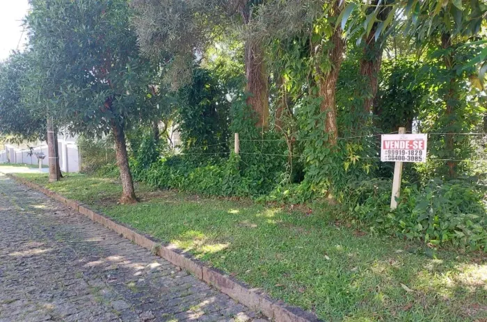 Lote/Terreno para venda tem 2562 metros quadrados em Rio Abaixo - Mairiporã - SP