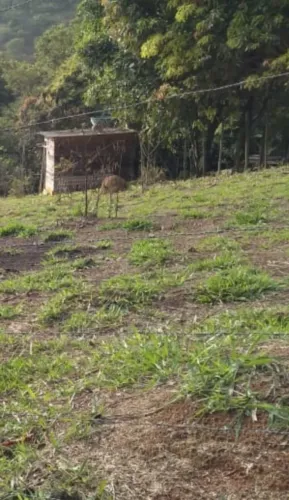 Vendo excelente granja