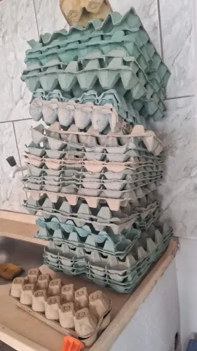 Caixas de ovo