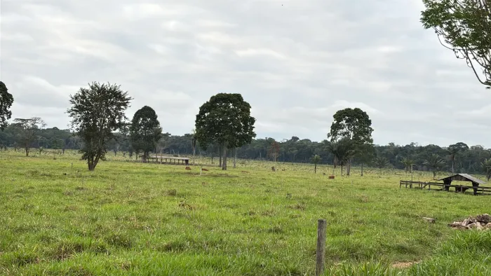 FAZENDA À VENDA EM PORTO VELHO/RO | BR-364 | DUPLA APTIDÃO