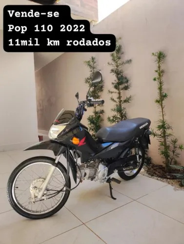HONDA POP 110 2022