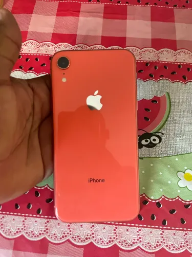  Apple iPhone XR na cor Coral