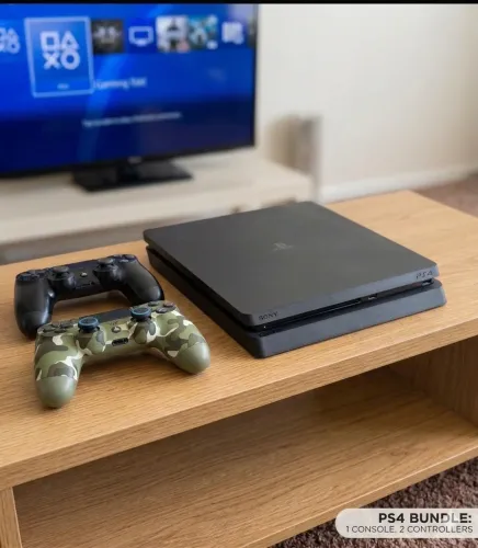 PS4 Fat