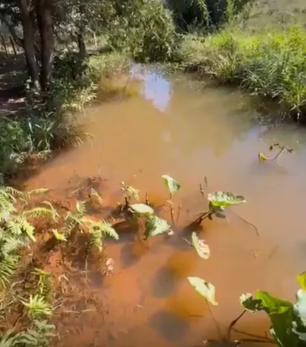 Vendo chácara rica em água com 7 hectares no Jardim Inga próximo ao loteamento Vila Rica e