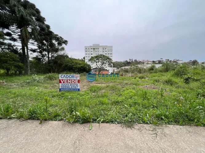 Terreno com 768m² em Avenida Comercial
