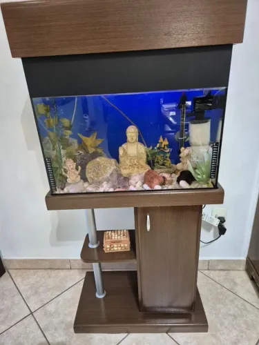 Aquário completo
